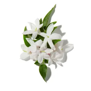 Nước hoa nữ Lancôme Idôle EDP   Orchard.vn